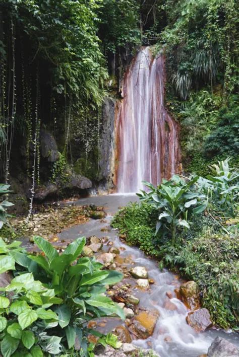 Exploring St Lucia S Hot Springs Mudbaths Mineral Pools Two