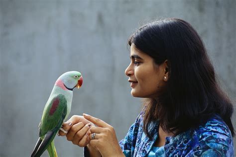 Easy Ways To Bond With Your Bird