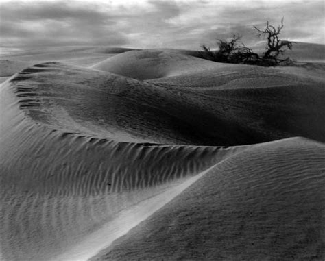 Dunes By Edward Weston On Artnet Auctions Edward Weston Landscape