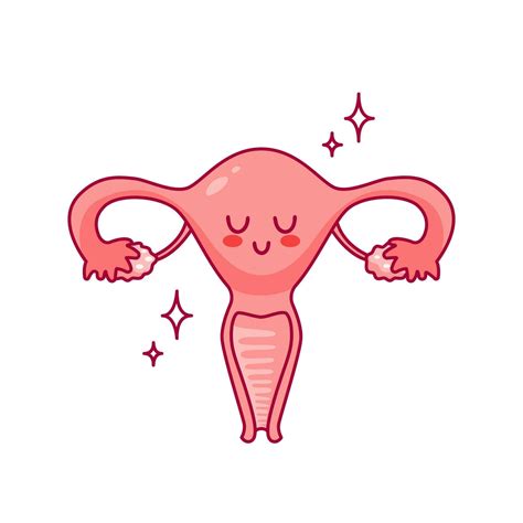 Uterus Cute Cartoon Character In Kawaii Style Healthy Organ