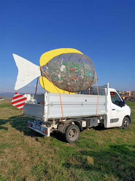 Pesce Mangia Plastica A Campo Di Mare Iniziate Le Operazioni Di