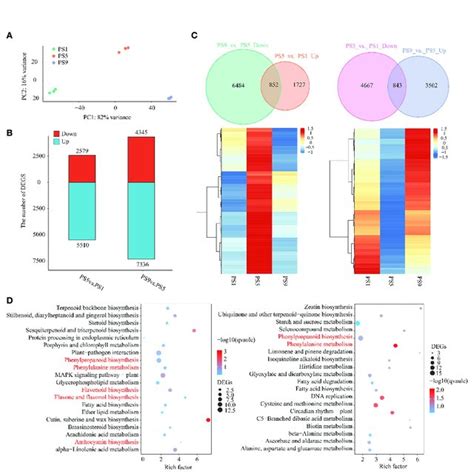 Comparative Transcriptome Analysis Of Red Apple Fruits At Three