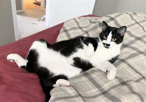 Best Camgirl Images On Pholder Porn ID Peeand Squirt GI Fs And Throatpussy