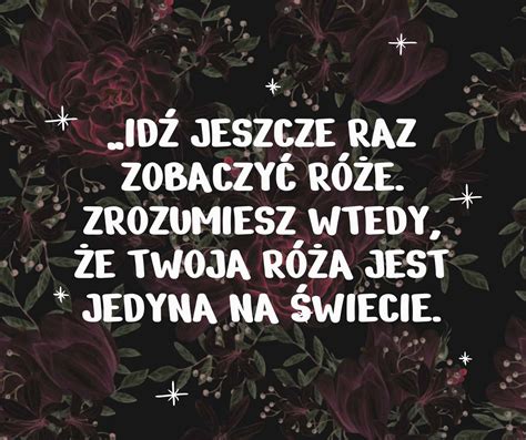 Cytaty z Małego Księcia o przyjaźni miłości róży i inne