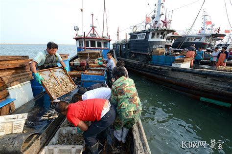 开海“冀”丨唐山：千帆竞发 开渔追“鲜” 河北频道 长城网