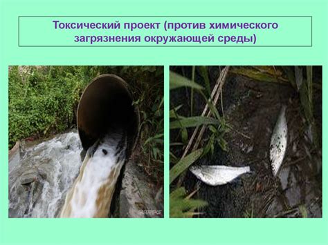 Земля, где мы живем - презентация онлайн