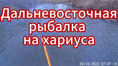 Дальневосточная рыбалка на хариуса🌴🐋🦈 - YouTube