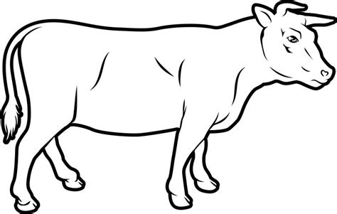 Cow Vector Images (over 110,000)