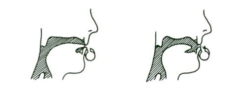 Placing and removing the tongue while creating the sound attack. Image ...