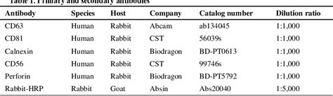 Table 1 From Large Scale Isolation Of Exosomes Derived From NK Cells