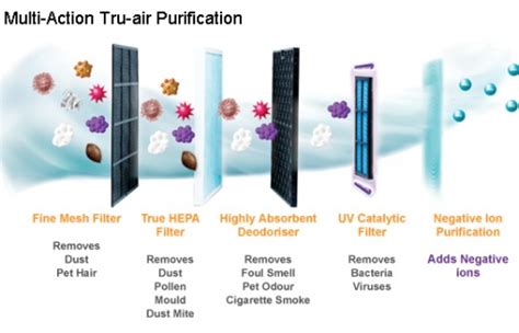 A Comprehensive Air Purifier Buying Guide Orderly Home Orderly Life