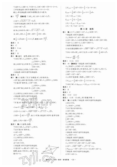 2023年精彩三年中考数学答案——青夏教育精英家教网——