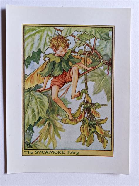 Sycamore Flower Fairy Print Flower Fairy Prints