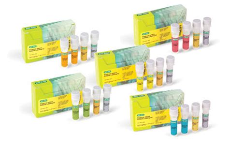 Antibody Labeling Kits Life Science Research Bio Rad