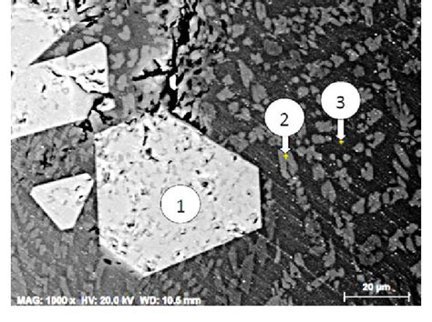 Sem Micrograph Of The Sample S2 With Basicity 1 2 Slow Cooled To And Download Scientific