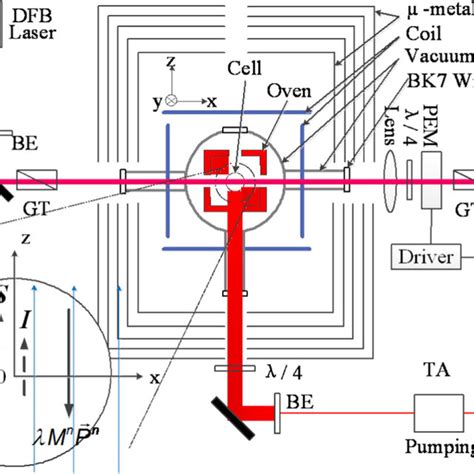 Experimental Setup For Studying The Dynamics Of The Coupled Rb And Ne