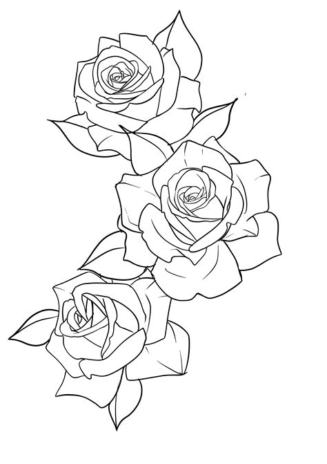 Chest Tattoo Stencils Flower Tattoo Stencils Rose Stencil Drawing