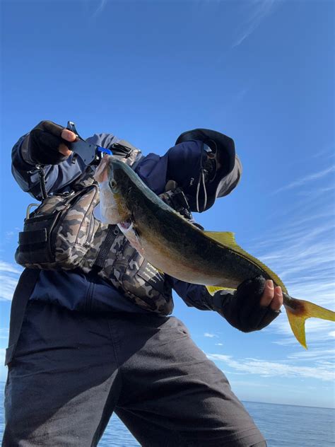 ひださん さんの 2024年06月18日のヒラマサの釣り・釣果情報島根県 七類港 アングラーズ 釣果600万件の魚釣り情報サイト