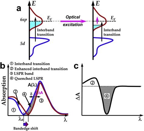 A Intraband Optical Excitation Induced Depletion Of The Conduction