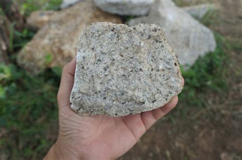 Sample Raw Specimen Of Granite Intrusive Igneous Rock Stone On