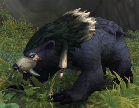 Bear Warcraft Wiki Your Wiki Guide To The World Of Warcraft