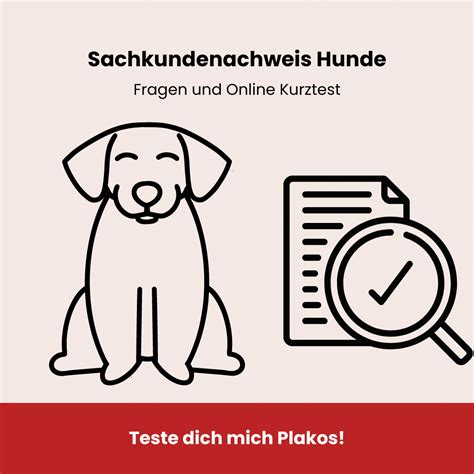 Sachkundenachweis Hunde Fragen Plakos