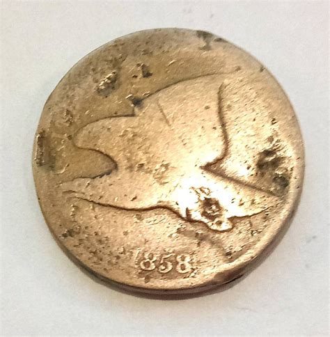 flying eagle cent   price  sale buy