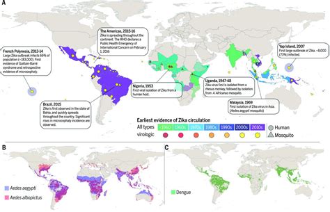 Assessing The Global Threat From Zika Virus Science