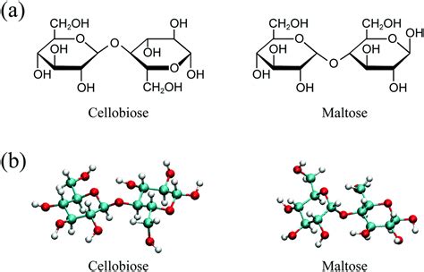 Cellobiose Structure