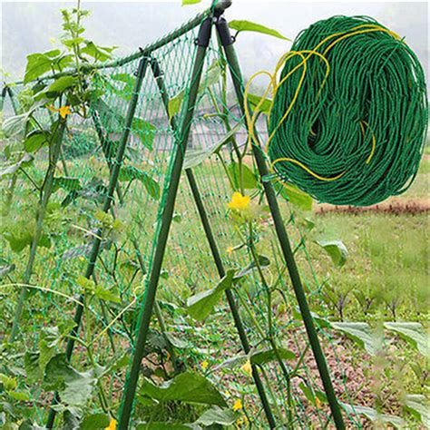Vegetable Garden Trellis Netting At Martha Harp Blog