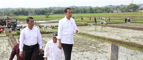 Presiden Ajak Petani Jawa Tengah Percepat Tanam Di Bulan Januari