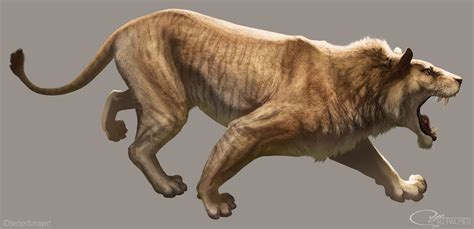 Panthera leo spelaea | Dinopedia | FANDOM powered by Wikia