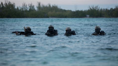 Dvids Images Charlie Company D Reconnaissance Battalion Dive