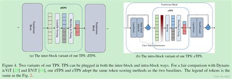 Token Joint Token Pruning And Squeezing Towards More Aggressive