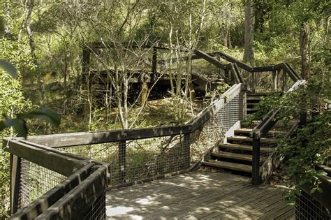 stepspathwaywalkgreen  image  needpixcom