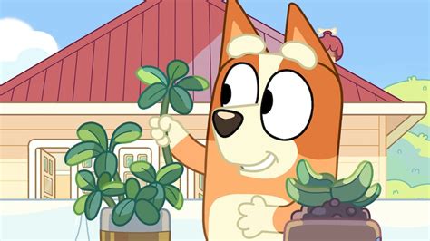 Watch Bluey Full Season Tvnz Ondemand