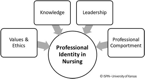 The Nurse Leaders Role Nurse Leader