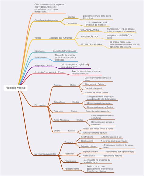 Fisiologia Vegetal Mapa Mental - Fisiologia Vegetal: Mapa Mental *atualizado*