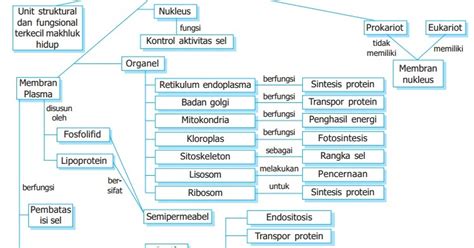 Peta Konsep Materi Genetik Homecare24