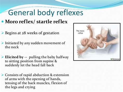 Reflexes Present In Infants