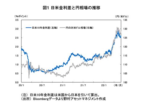 Kjclub Bibimbapが理解できない日米金利差と円相場の連動性