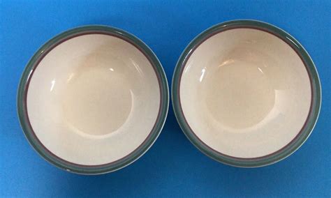 Set Of Pfaltzgraff Juniper Soup Cereal Salad Bowls Ebay