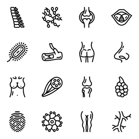 Internal Organs Line Icons Pack Vector Art At Vecteezy