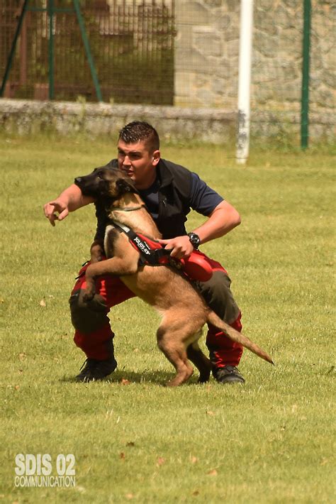 Sdis De L Aisne On Twitter Journeemondialeduchien L Occasion D Un