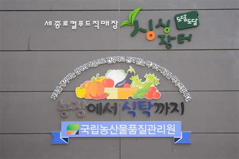 세종로컬푸드 싱싱장터 알림소식 보도자료