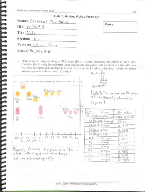 Lab 1 Amino Acid Identification Write Up Bioc 2580 Studocu