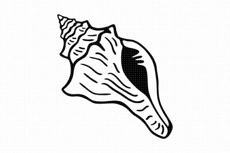 Conch Shell Svg Shell Png Sea Shell Clipart Conch Shell Dxf Conch | Hot ...