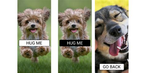 Dog App Figma