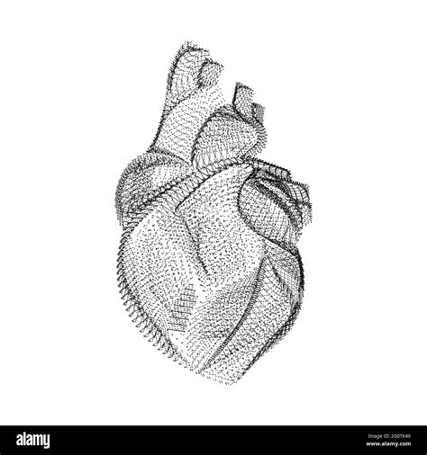 Human Heart Silhouette Consisting Of Black Dots And Particles 3d