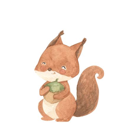 Premium Vector Watercolor Squirrel Illustration For Kids